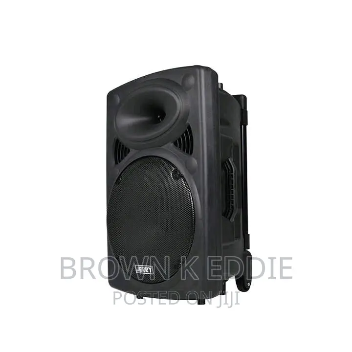 Super Quality 12 Inch Trolley Speaker With Microphone 1000w