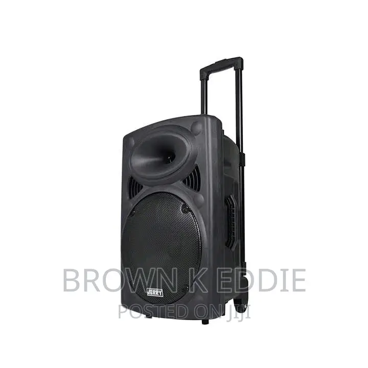Super Quality 12 Inch Trolley Speaker With Microphone 1000w