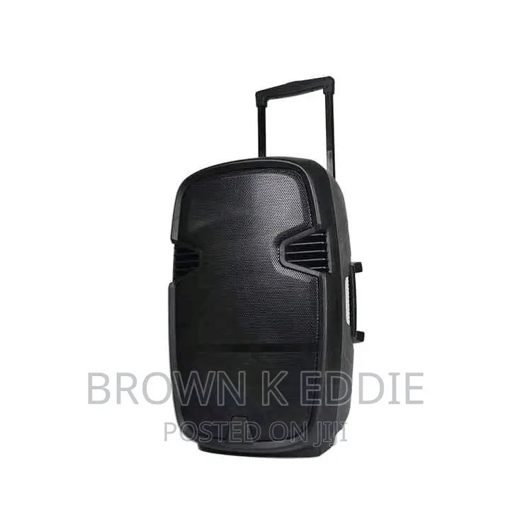 15 Inch One Wireless Mic Portable Speaker Trolley Speaker