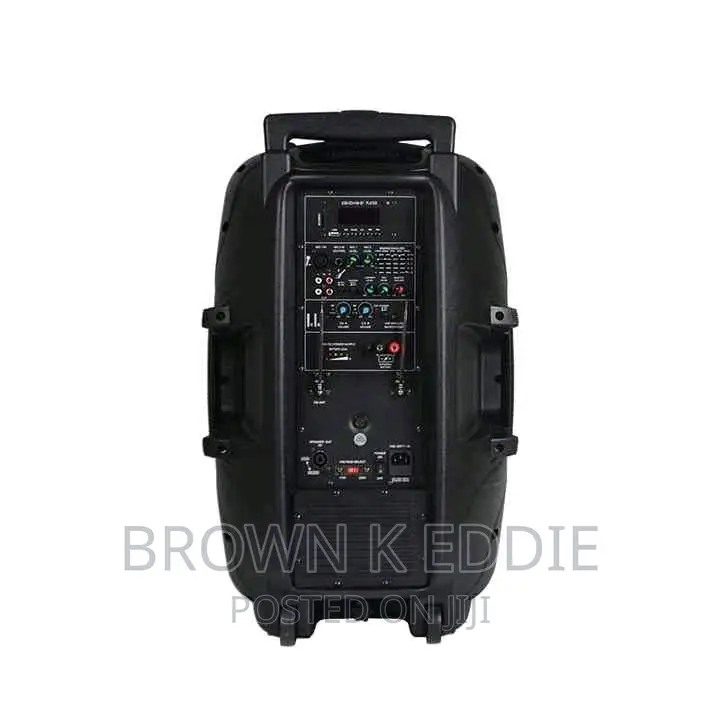15 Inch One Wireless Mic Portable Speaker Trolley Speaker