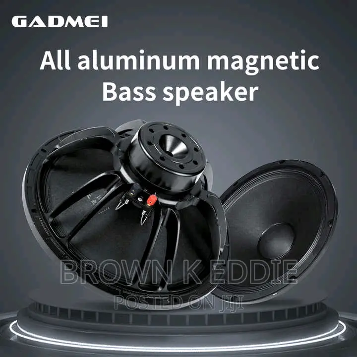 Single 15 Inch Full Range Speaker