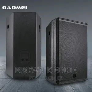 Single 15 Inch Full Range Speaker