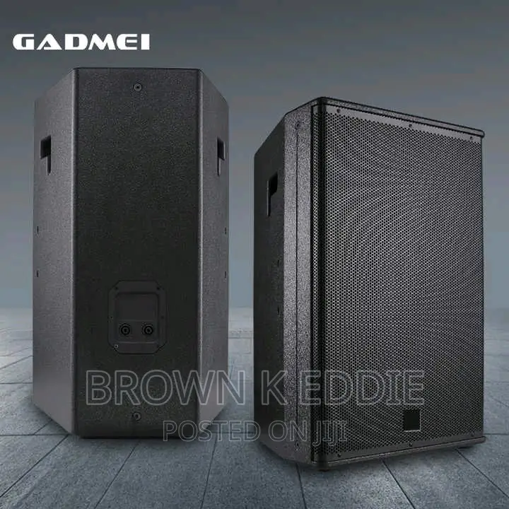Single 15 Inch Full Range Speaker