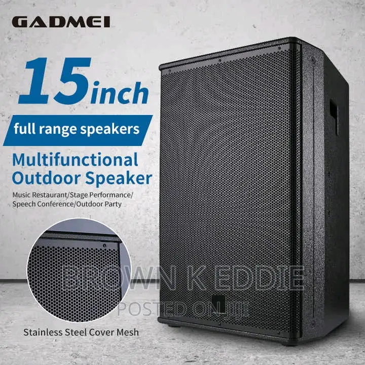 Single 15 Inch Full Range Speaker