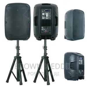 Professional Audio Wireless Karaoke Set