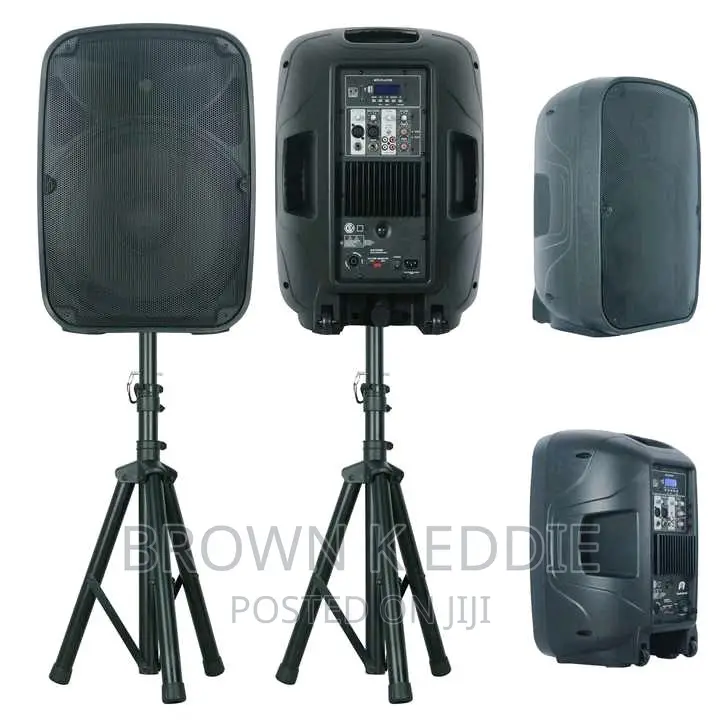 Professional Audio Wireless Karaoke Set