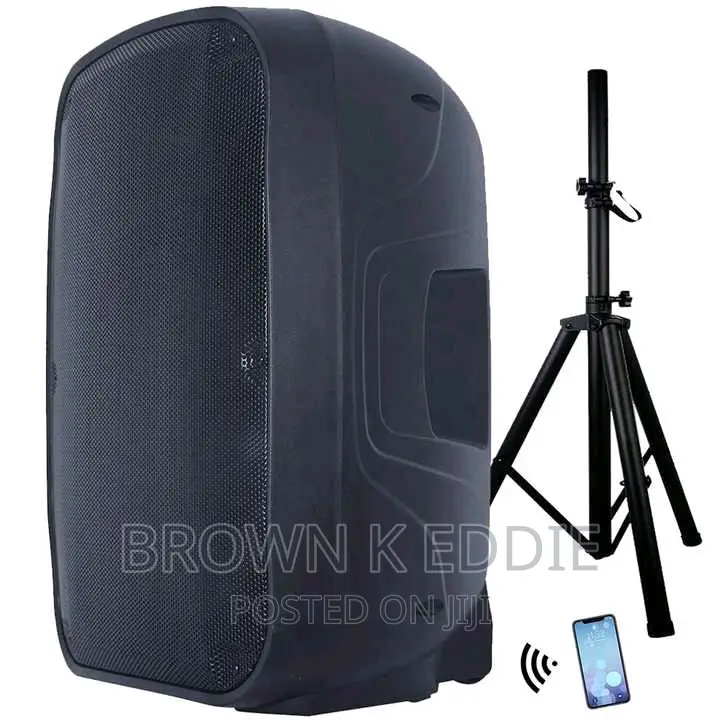 Professional Audio Wireless Karaoke Set