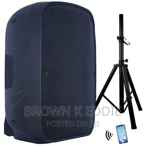 Professional Audio Wireless Karaoke Set