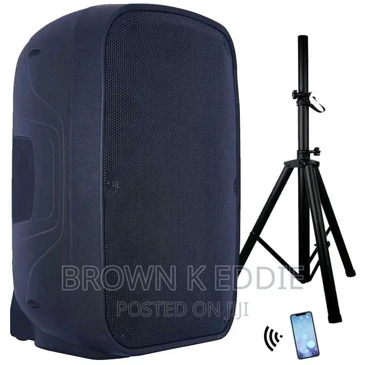 Professional Audio Wireless Karaoke Set