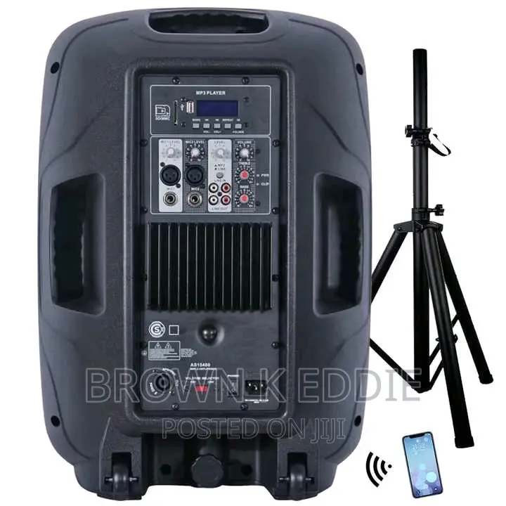 Professional Audio Wireless Karaoke Set