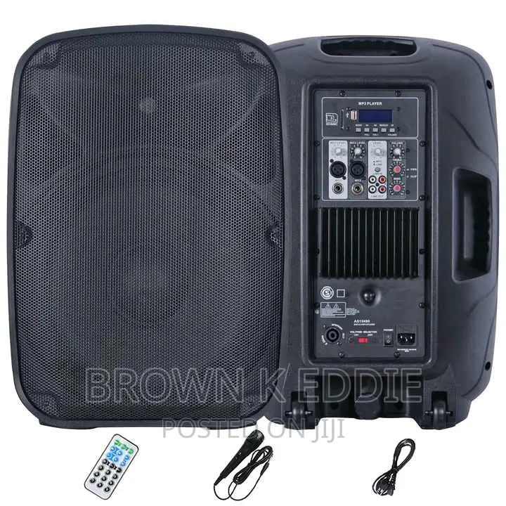 Professional Audio Wireless Karaoke Set