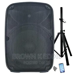 Professional Audio Wireless Karaoke Set