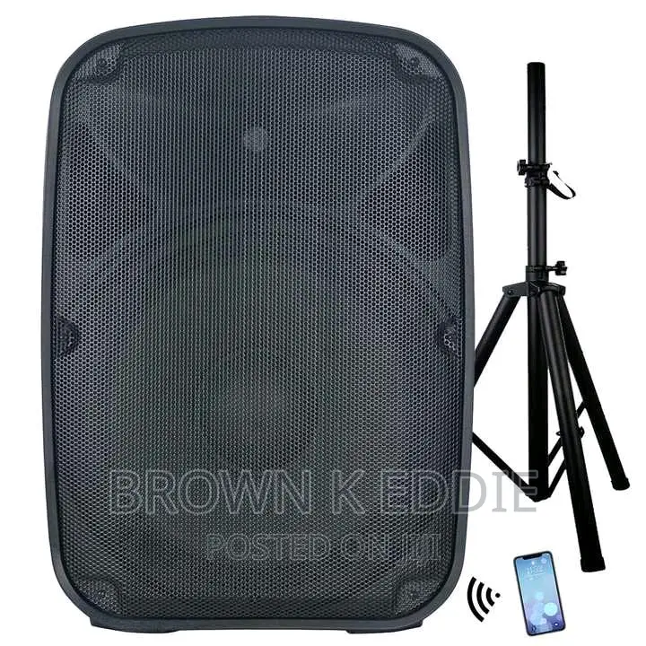 Professional Audio Wireless Karaoke Set