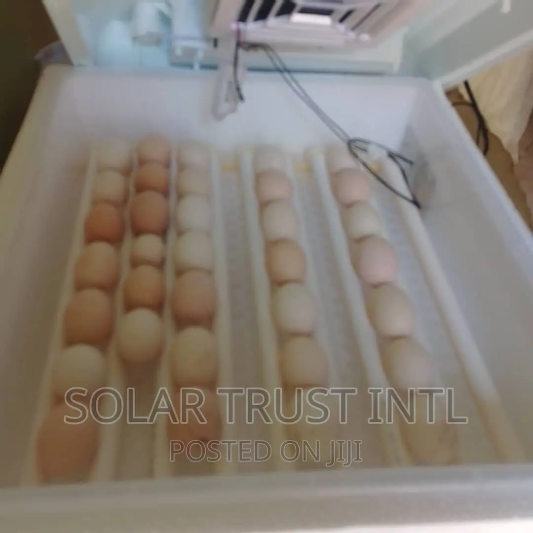 Incubation Backup System