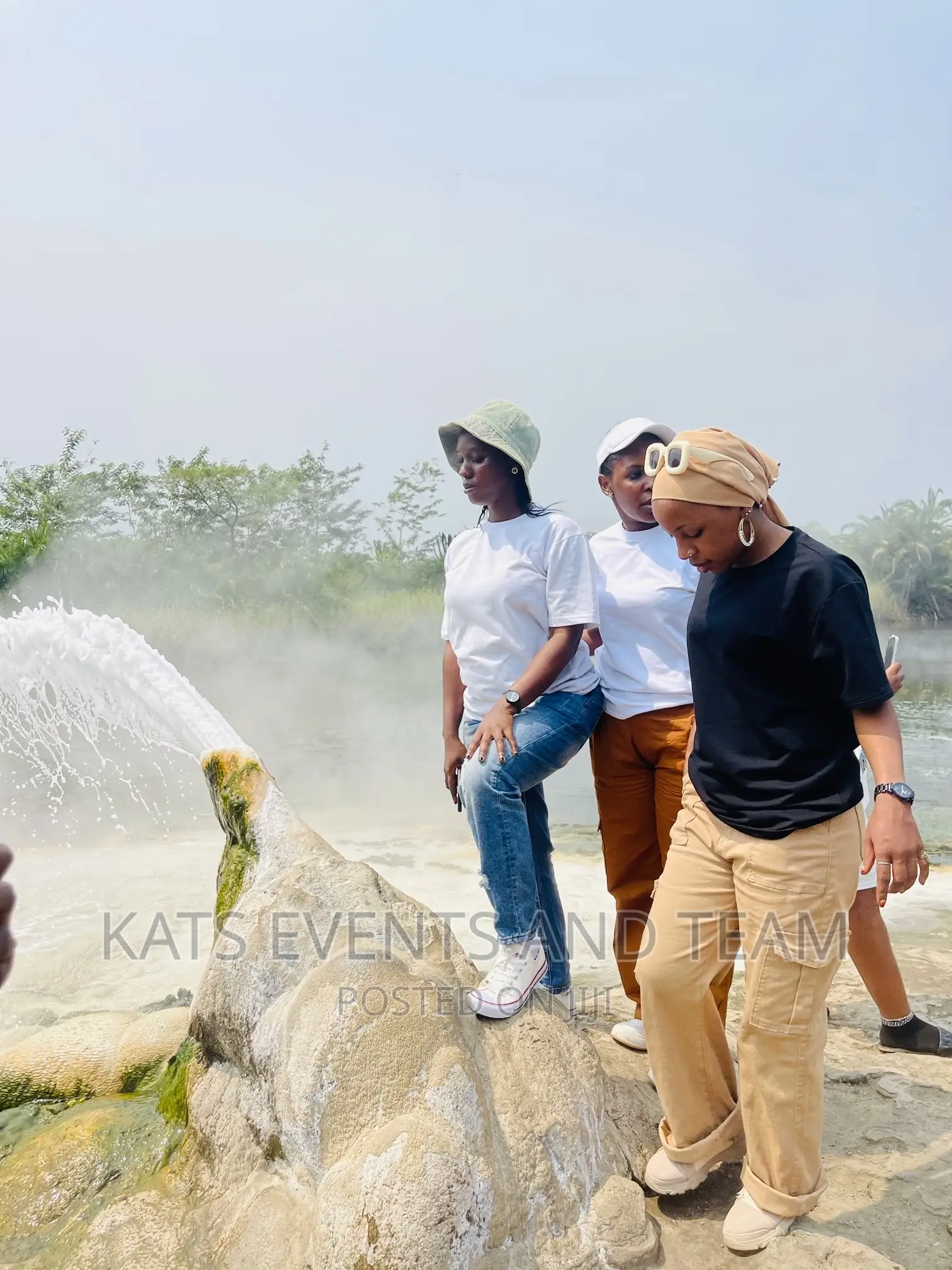 Tour and Travel Company