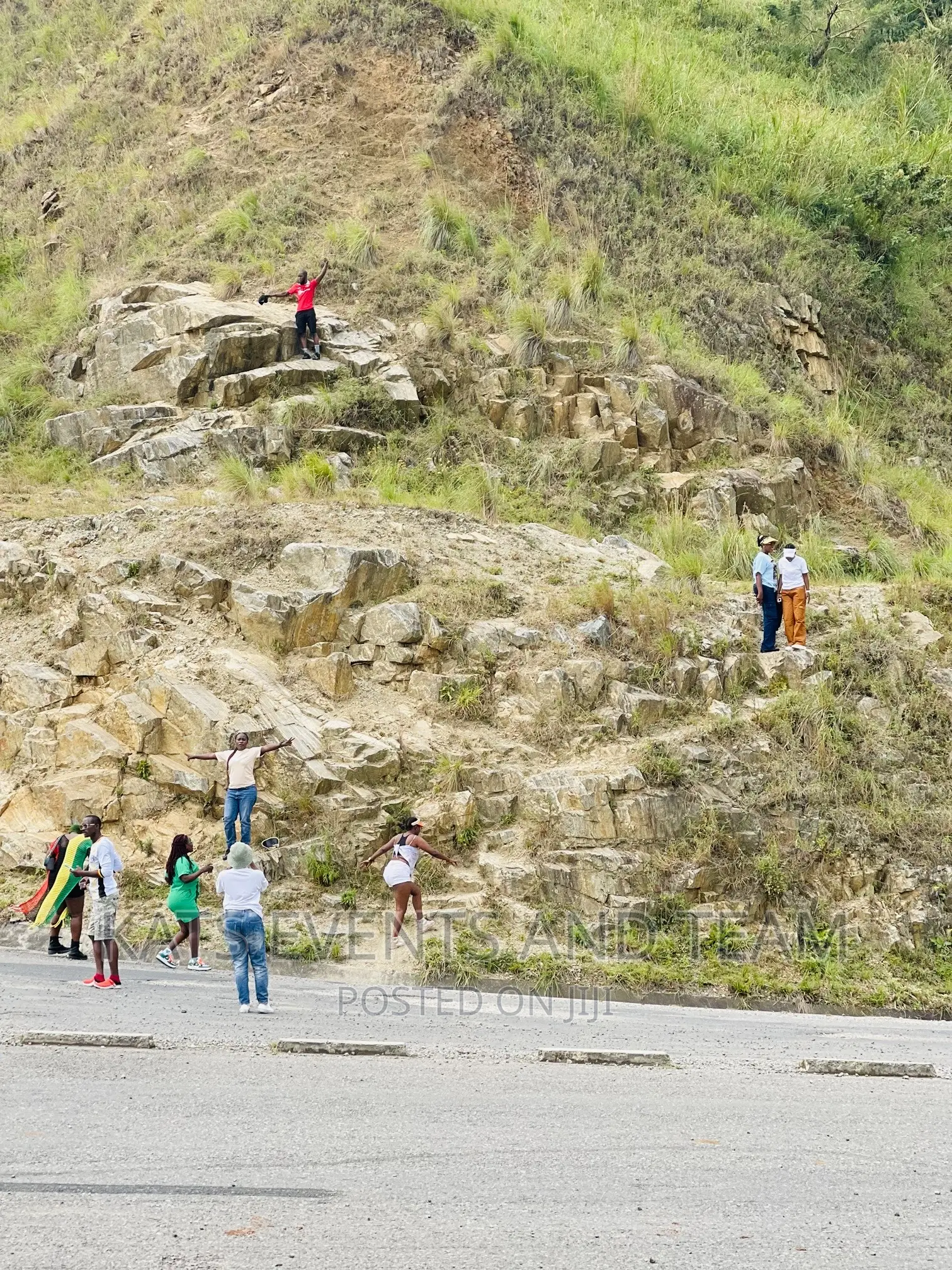 Tour and Travel Company