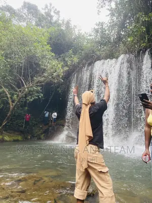 Tour and Travel Company
