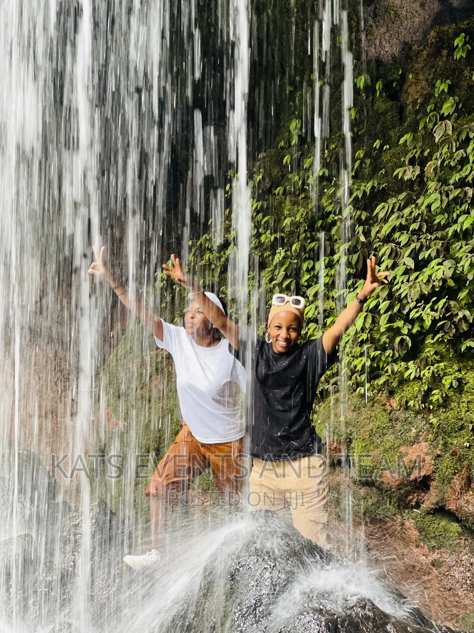 Tour and Travel Company