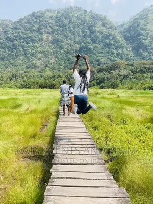Tour and Travel Company