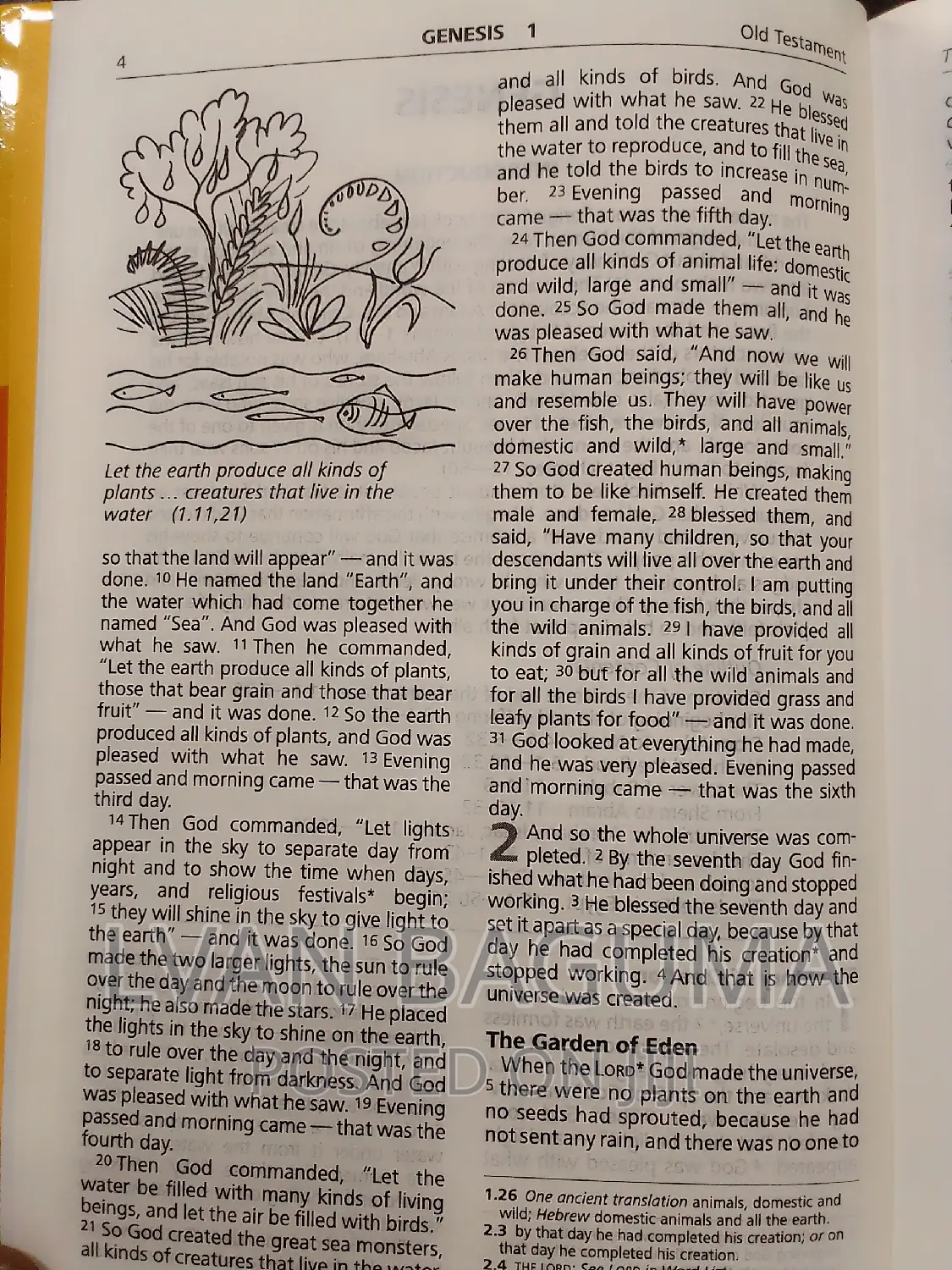 Good New Bible for Children - Hard Cover ( Yellowish )