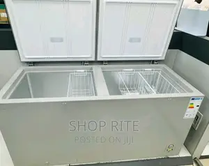 Hisense Deep Freezer 660 Litres Double Door