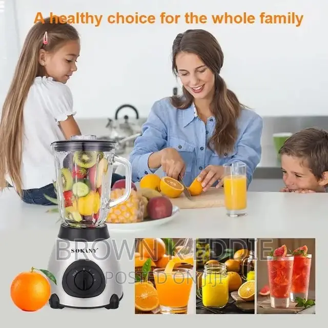 Houselin Professional Compact Smoothie Food Processing