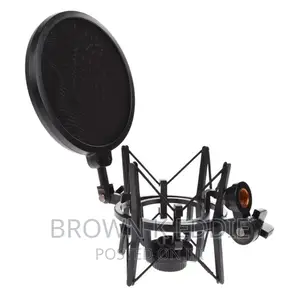 Microphone Mic Shock Mount Shield