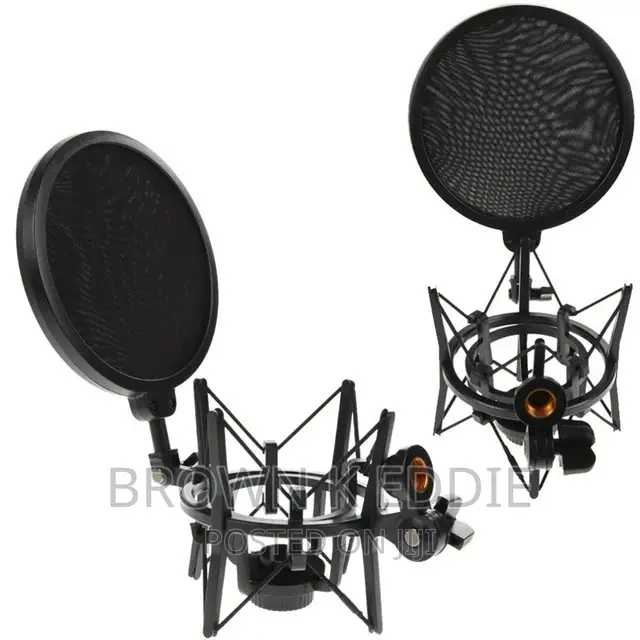 Microphone Mic Shock Mount Shield