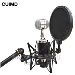 Microphone Mic Shock Mount Shield