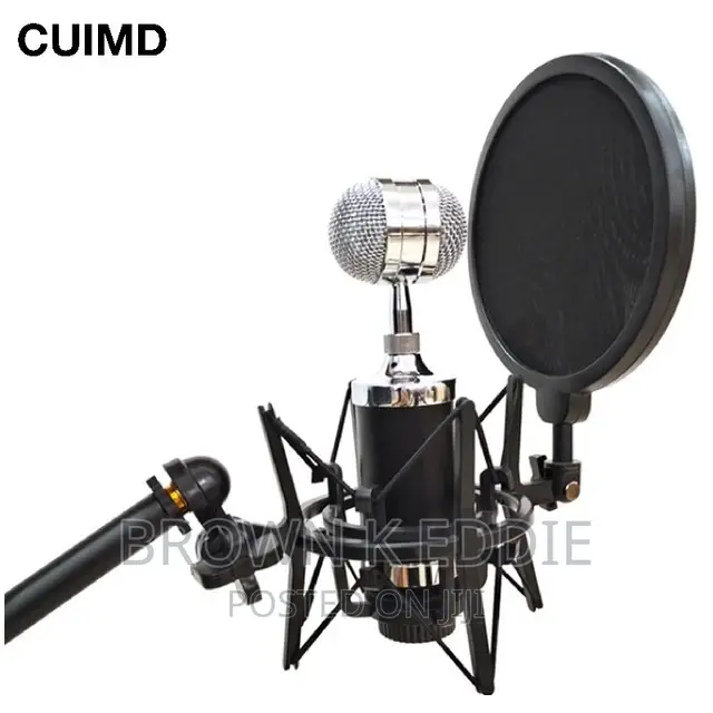 Microphone Mic Shock Mount Shield