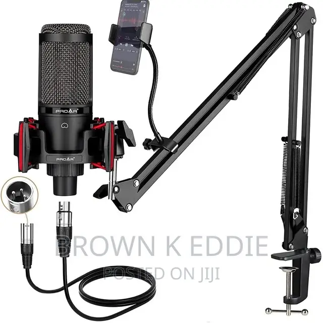 Professional Condenser Microphone XLR Cardioid Studios