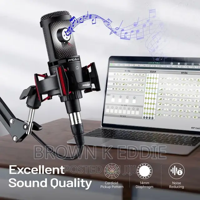 Professional Condenser Microphone XLR Cardioid Studios