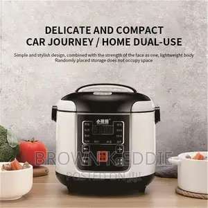Rice Cooker Big
