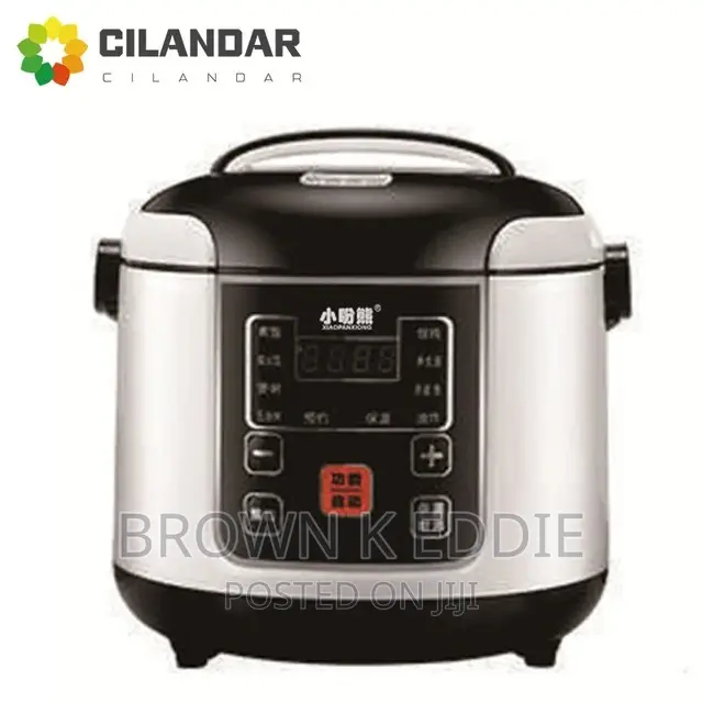 Rice Cooker Big