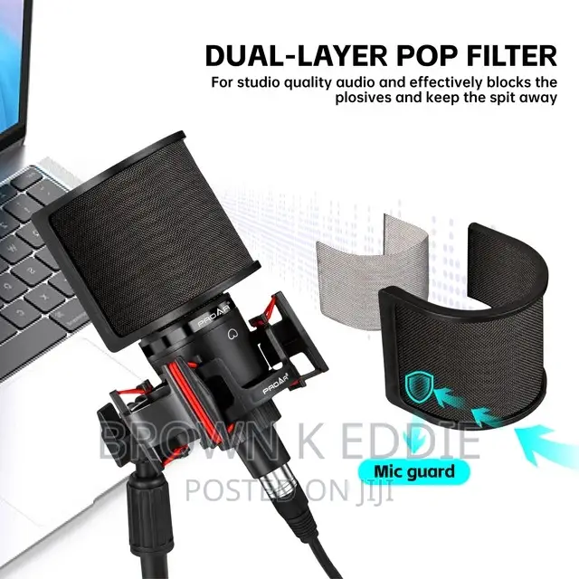 Professional Condenser Microphone XLR Podcast Mic