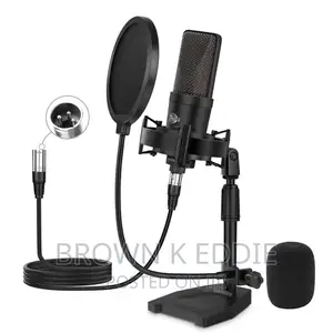 Professional Condenser XLR Microphone Cardioid Podcast Mic