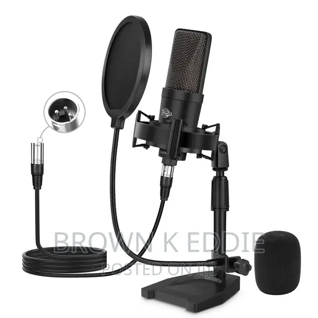 Professional Condenser XLR Microphone Cardioid Podcast Mic