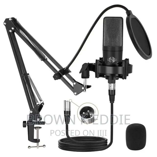 Professional Condenser XLR Microphone Cardioid Podcast Mic