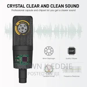 Professional Condenser XLR Microphone Cardioid Podcast Mic
