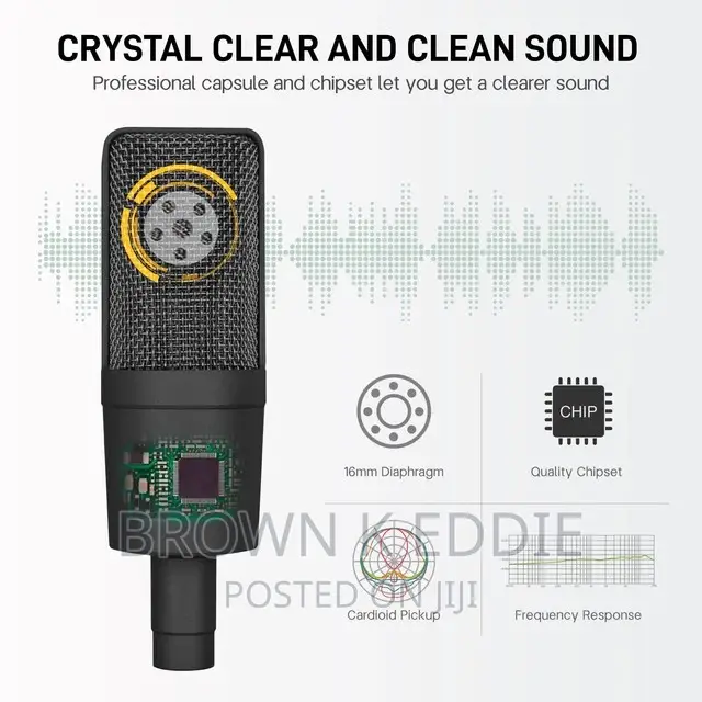 Professional Condenser XLR Microphone Cardioid Podcast Mic