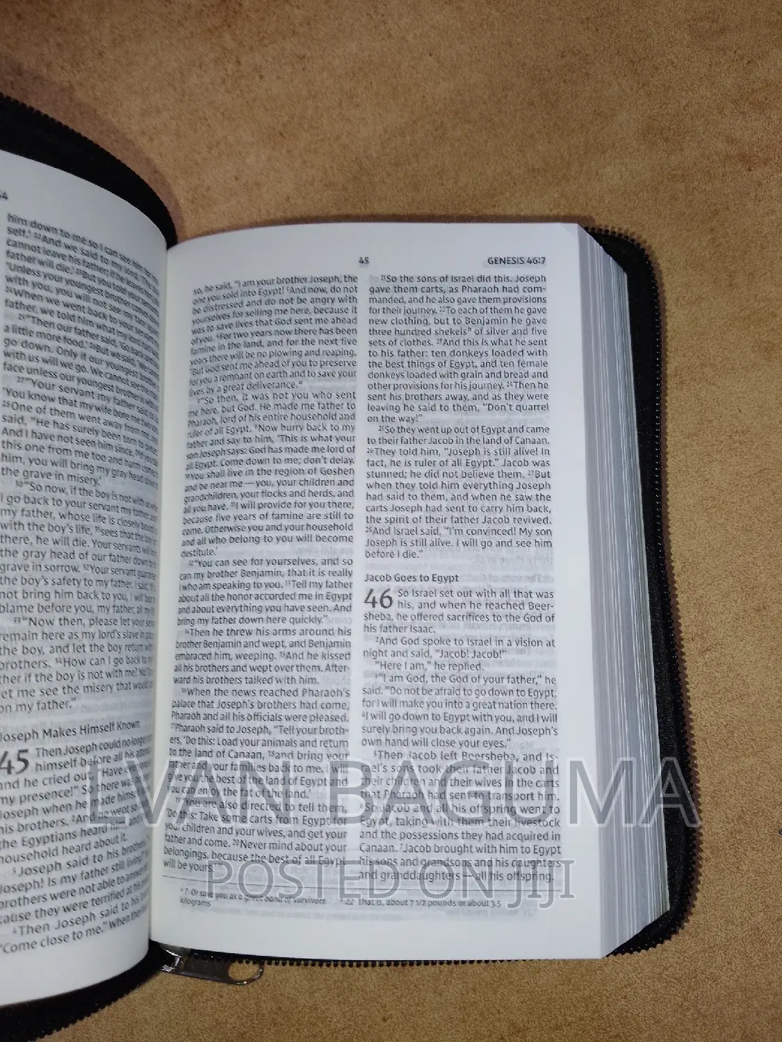Holy Bible NIV (Small Size) - With a Zip