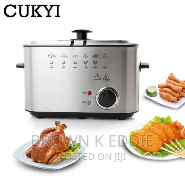 Electric Deep Fryer Stainless Steel French Fries