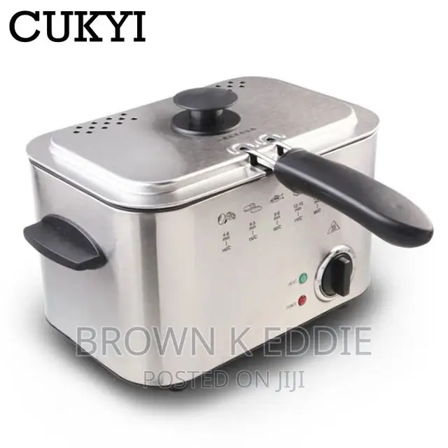 Electric Deep Fryer Stainless Steel French Fries