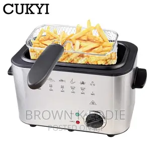 Electric Deep Fryer Stainless Steel French Fries