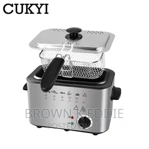 Electric Deep Fryer Stainless Steel French Fries