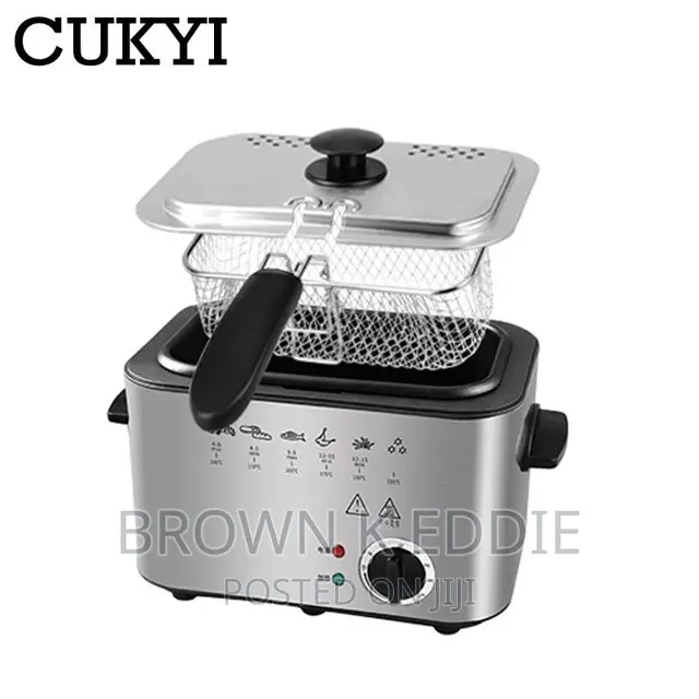 Electric Deep Fryer Stainless Steel French Fries