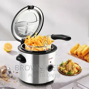 Electric Fryer Mini Fryer Household Small Round French Fries