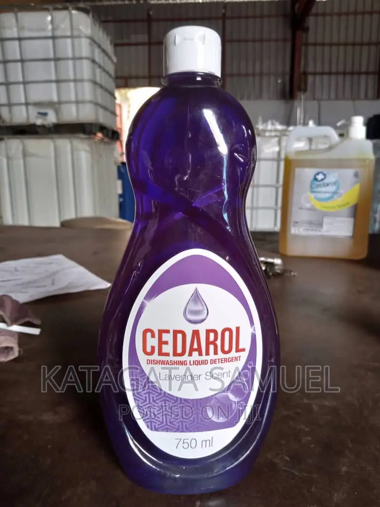 Dish Wash 750ml Mint