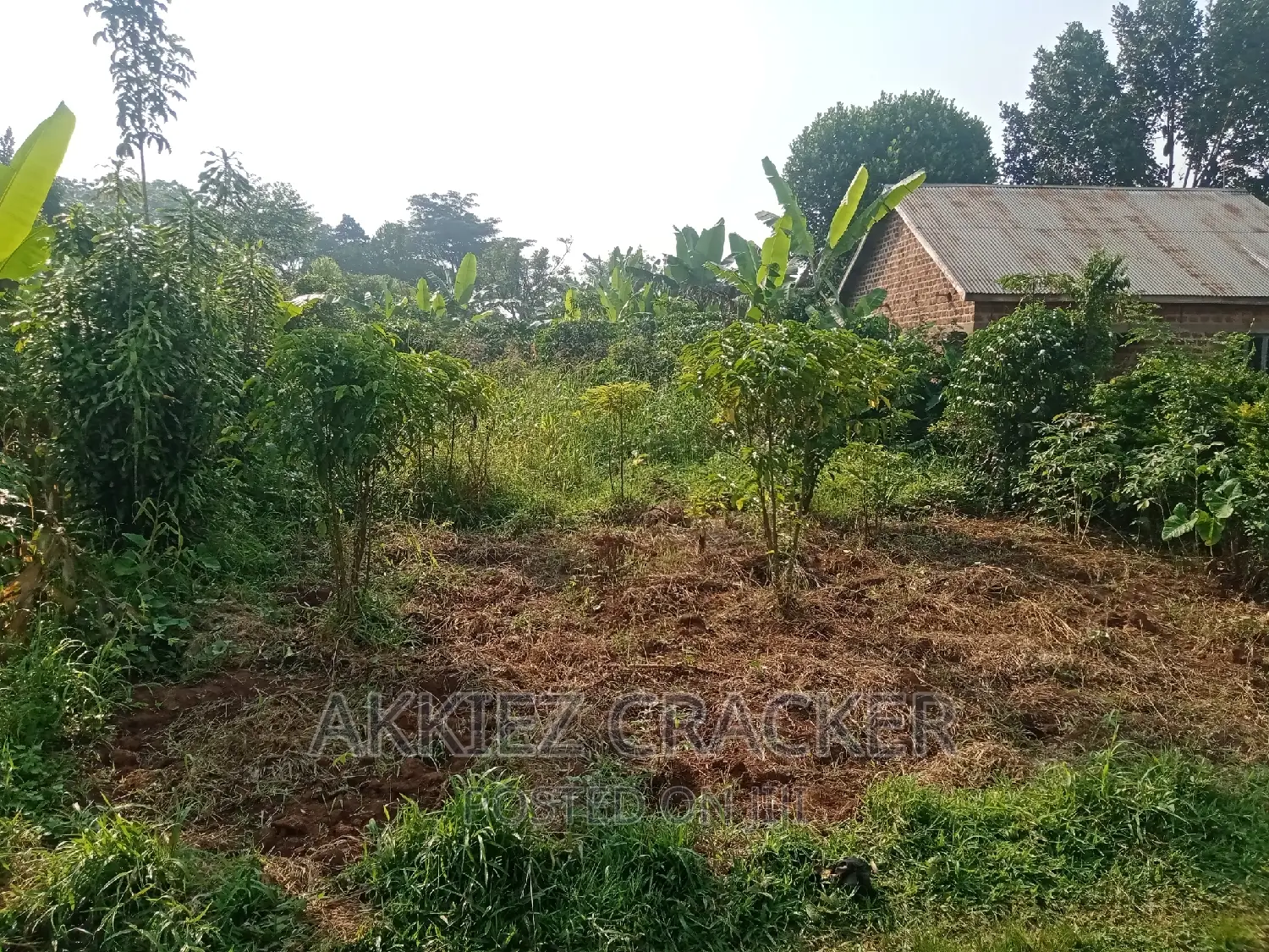 1 Acre of Land at Sinda, Kabimbiri Along Kayunga Road
