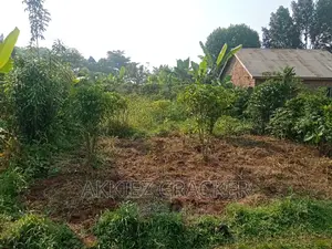 1 Acre of Land at Sinda, Kabimbiri Along Kayunga Road